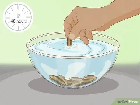 Imagen titulada Plant Date Seeds Step 3