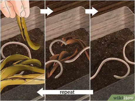 Imagen titulada Make a Worm Habitat Step 8