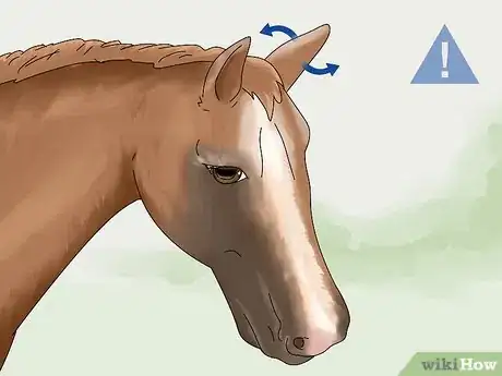 Imagen titulada Tell if a Horse Is Frightened Step 1