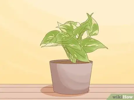 Imagen titulada Choose Plants for Good Feng Shui Step 10
