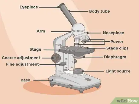 Imagen titulada Use a Microscope Step 1