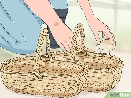 Imagen titulada Identify Edible Mushrooms Step 5
