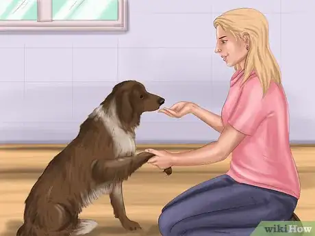 Imagen titulada Calm Down a Playful Large Dog Step 5