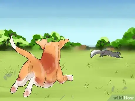 Imagen titulada Stop a Dog from Killing Squirrels Step 2