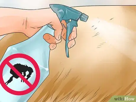 Imagen titulada Keep Fleas Off Dogs Step 11