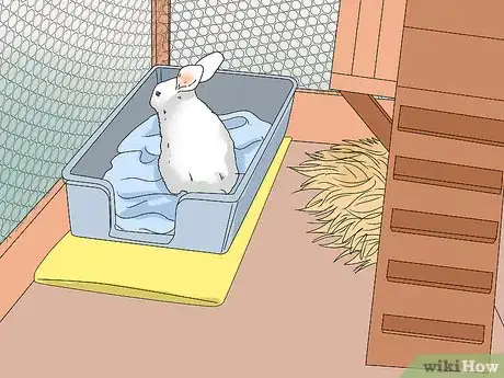 Imagen titulada Tell if Your Rabbit Has Weepy Eye Step 14