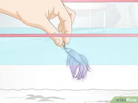 Imagen titulada Feed a Betta Fish Step 7