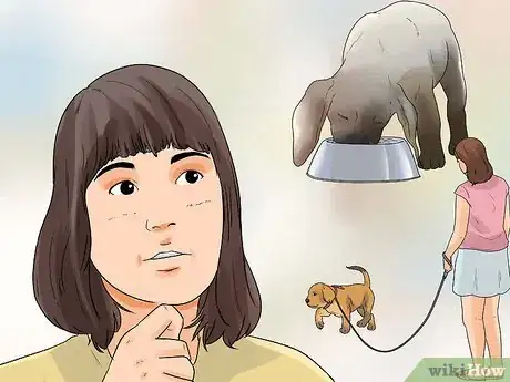 Imagen titulada Introduce a New Puppy Step 1