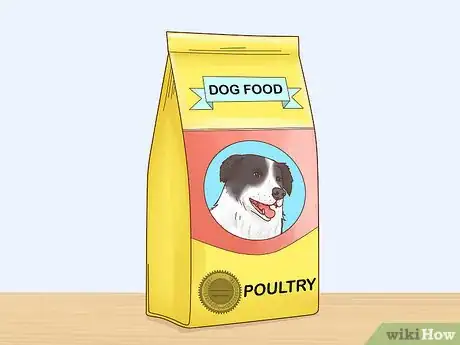 Imagen titulada Care for a Border Collie Step 6
