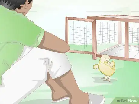 Imagen titulada Care for a Chick Step 12