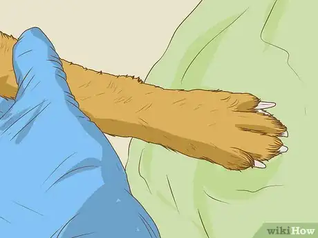 Imagen titulada Get Your House to Not Smell Like Your Pets Step 19