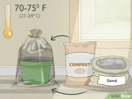 Imagen titulada Plant Date Seeds Step 9