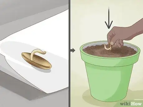 Imagen titulada Plant Date Seeds Step 8