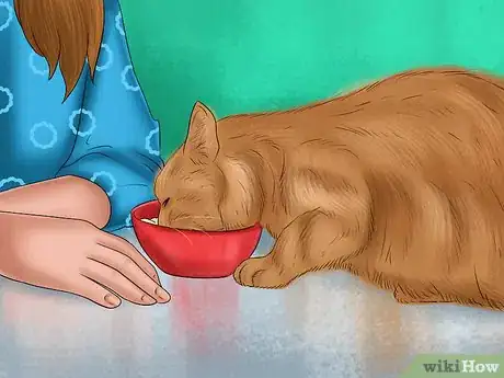 Imagen titulada Tell if Your Cat Has a Food Intolerance Step 7