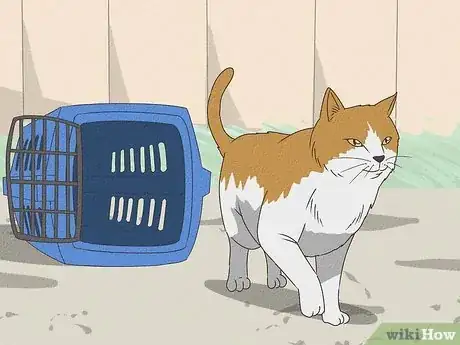 Imagen titulada Handle a Stray Cat Step 22