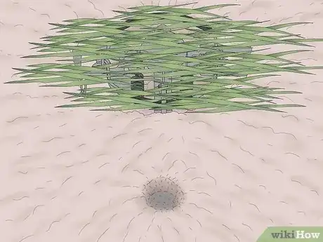 Imagen titulada Make a Coyote Trap Step 13