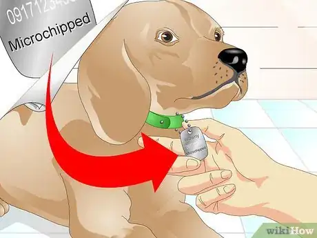 Imagen titulada Tell if a Dog Is Microchipped Step 1
