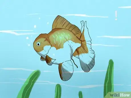 Imagen titulada Feed Fish Step 10