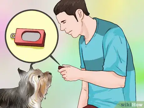Imagen titulada Train a Yorkie Step 4