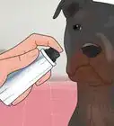 reducir la caída de pelo en los perros