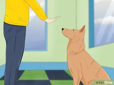 Imagen titulada Make Your Dog Stop Sleeping in Your Bed Step 13