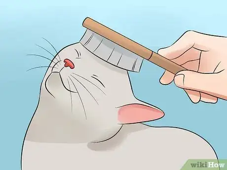 Imagen titulada Help Your Depressed Cat Step 8