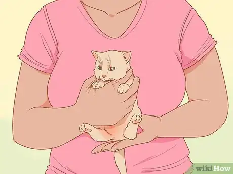 Imagen titulada Pick Up a Kitten Step 5