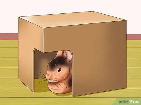 Imagen titulada Care for Rex Rabbits Step 9