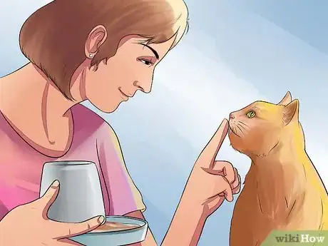 Imagen titulada Prepare Your Cat for Surgery Step 7