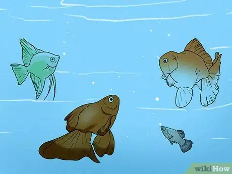 Imagen titulada Feed Fish Step 12