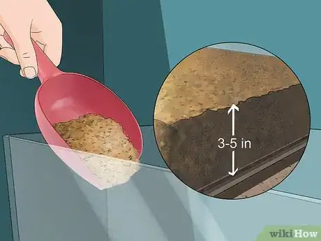 Imagen titulada Care for Emperor Scorpions Step 3