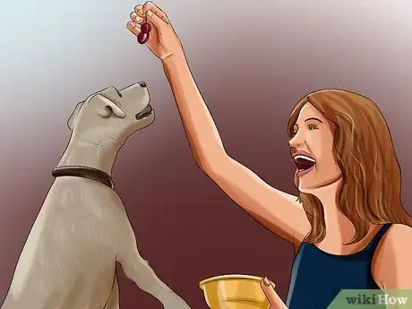 Imagen titulada File Puppy Nails Step 10