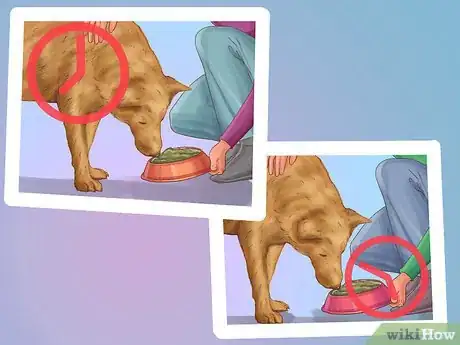 Imagen titulada Be a Responsible Dog Owner Step 1