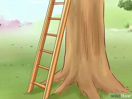 Imagen titulada Get a Cat out of a Tree Step 8