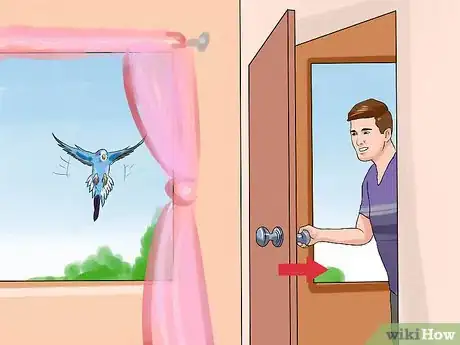 Imagen titulada Chase a Bird out of an Enclosed Porch or a House Step 1