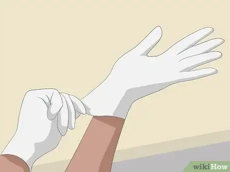 Imagen titulada Determine the Sex of a Guinea Pig Step 2