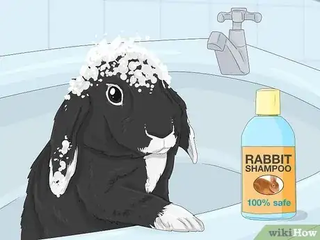 Imagen titulada Treat Diarrhea in Rabbits Step 13