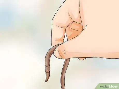 Imagen titulada Find Worms Step 4