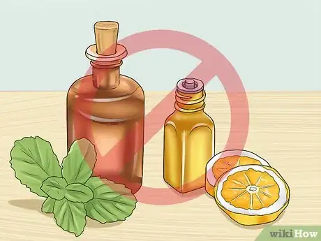 Imagen titulada Calm Your Cat with Aromatherapy Step 9