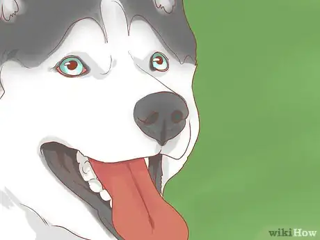 Imagen titulada Talk to a Dog Step 10