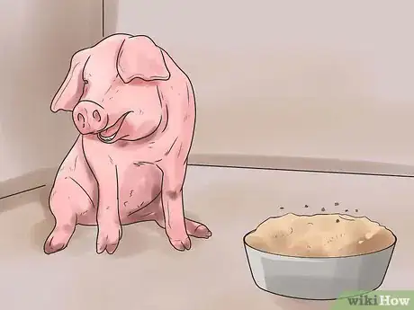 Imagen titulada Care for a Pig With Pneumonia Step 1