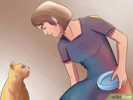 Imagen titulada Prepare Your Cat for Surgery Step 3