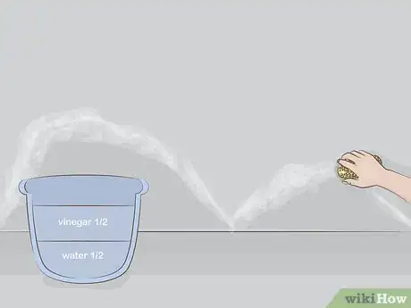 Imagen titulada Stop Efflorescence Step 1