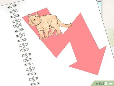 Imagen titulada Castrate a Cat Step 10
