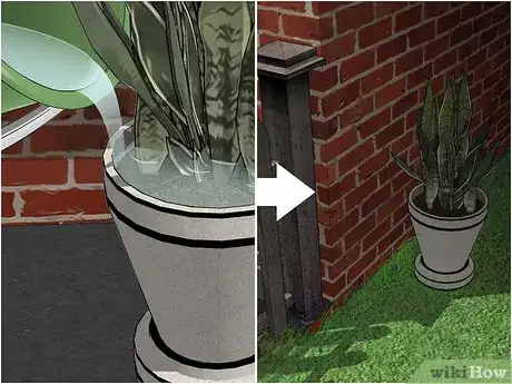 Imagen titulada Remove Ants from Potted Plants Step 7
