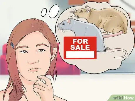 Imagen titulada Breed Rats Step 1