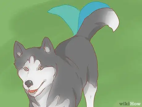 Imagen titulada Talk to a Dog Step 11