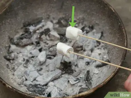 Imagen titulada Roast Marshmallows Step 4