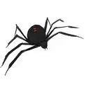 dibujar una araña