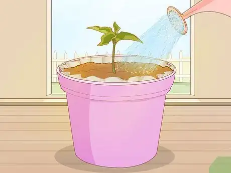 Imagen titulada Make Pot Liners for Plants Step 7